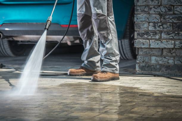 Best Soft Washing  in Oak View, CA