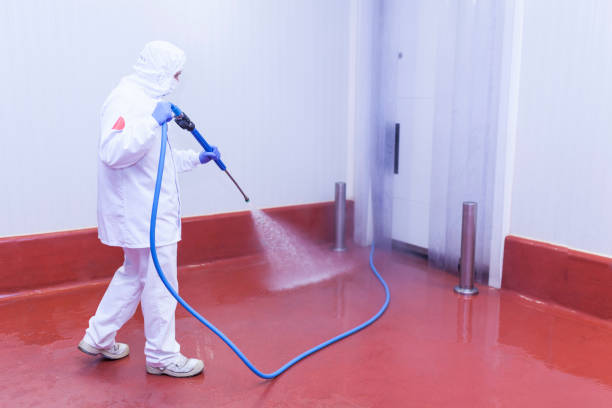 Best House Exterior Washing  in Oak View, CA