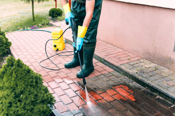 Best Sidewalk and Walkway Cleaning  in Oak View, CA