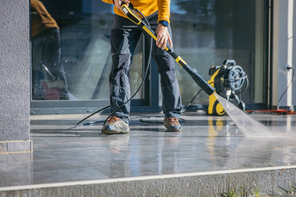 Best Fence Cleaning  in Oak View, CA